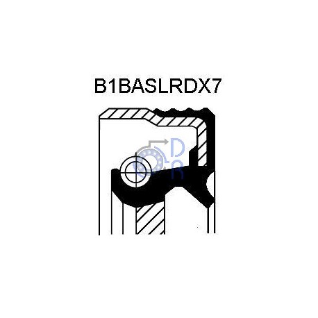 45X62X10-TC-NBR