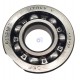 611317-C-SKF