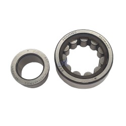 NJ2204ECP-C3-SKF