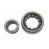NJ2204ECP-C3-SKF