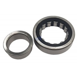 NJ203-ECP-SKF