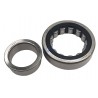 NJ203-ECP-SKF