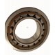 NJ2210-SKF