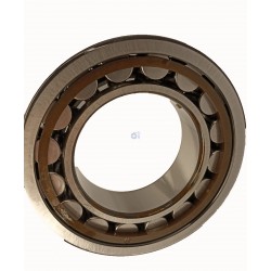 NJ2210-SKF