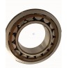 NJ2210-SKF