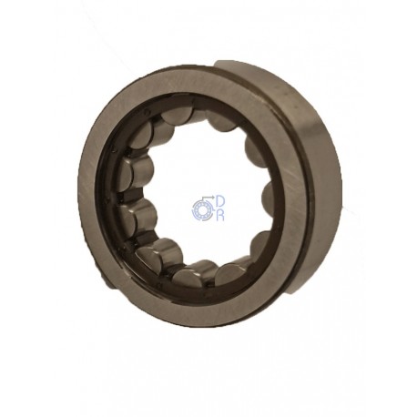 NUP203-ECP-SKF
