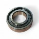 BC1-0013-DD-SKF