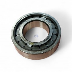 BC1-0013-DD-SKF