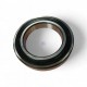 6018-2RS-SKF