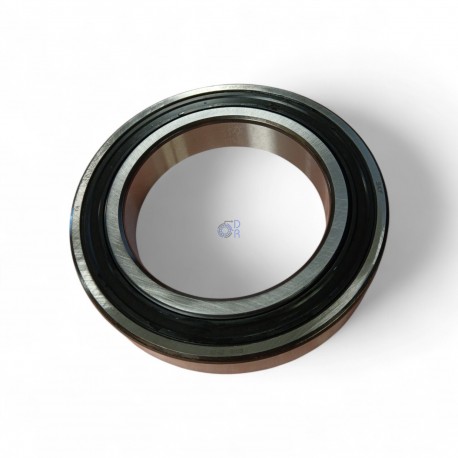 6018-2RS-SKF