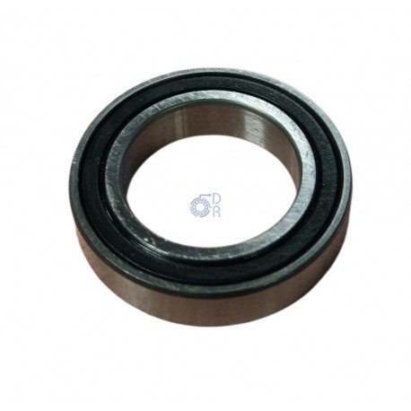 61804-2RS-SKF