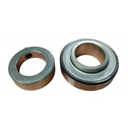 RAE35 -NPP-FA106-INA