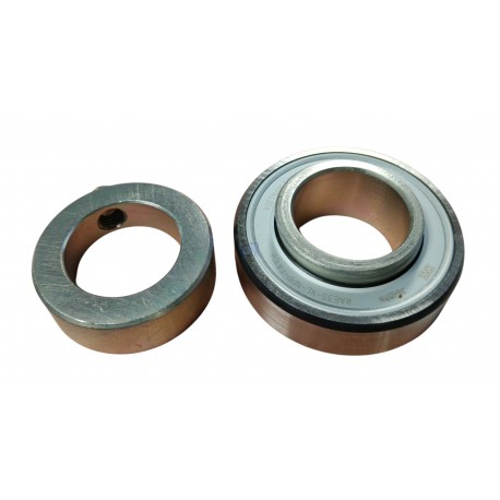 RAE35 -NPP-FA106-INA