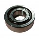 NUP203-ECP-SKF