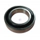 61905-2RS-SKF