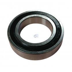 61905-2RS-SKF