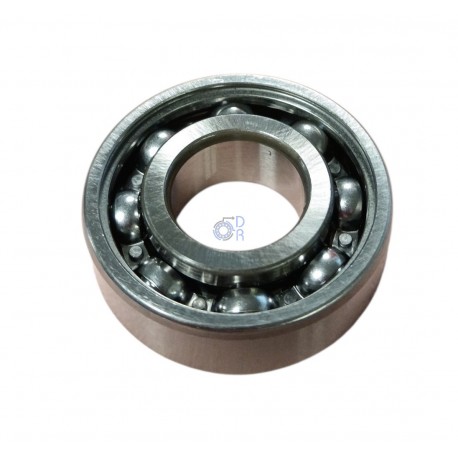 6203-SKF