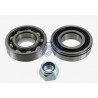 VKBA636-SKF