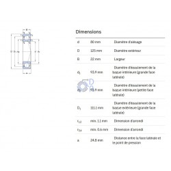 7016-CD-P4A-SKF