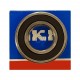 6016-2RS-SKF