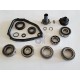 462015110 GEARBOX KIT-INA