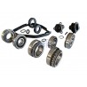 462015110 GEARBOX KIT-INA